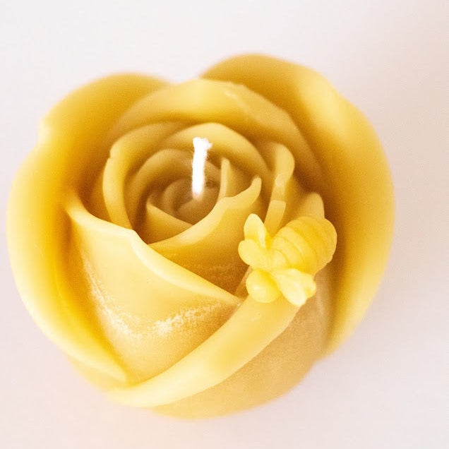 Beeswax Candle Collection