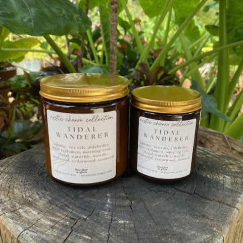 Tidal Wanderer