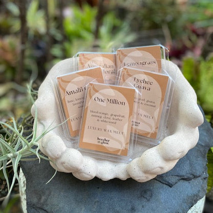 Soy Wax Melts
